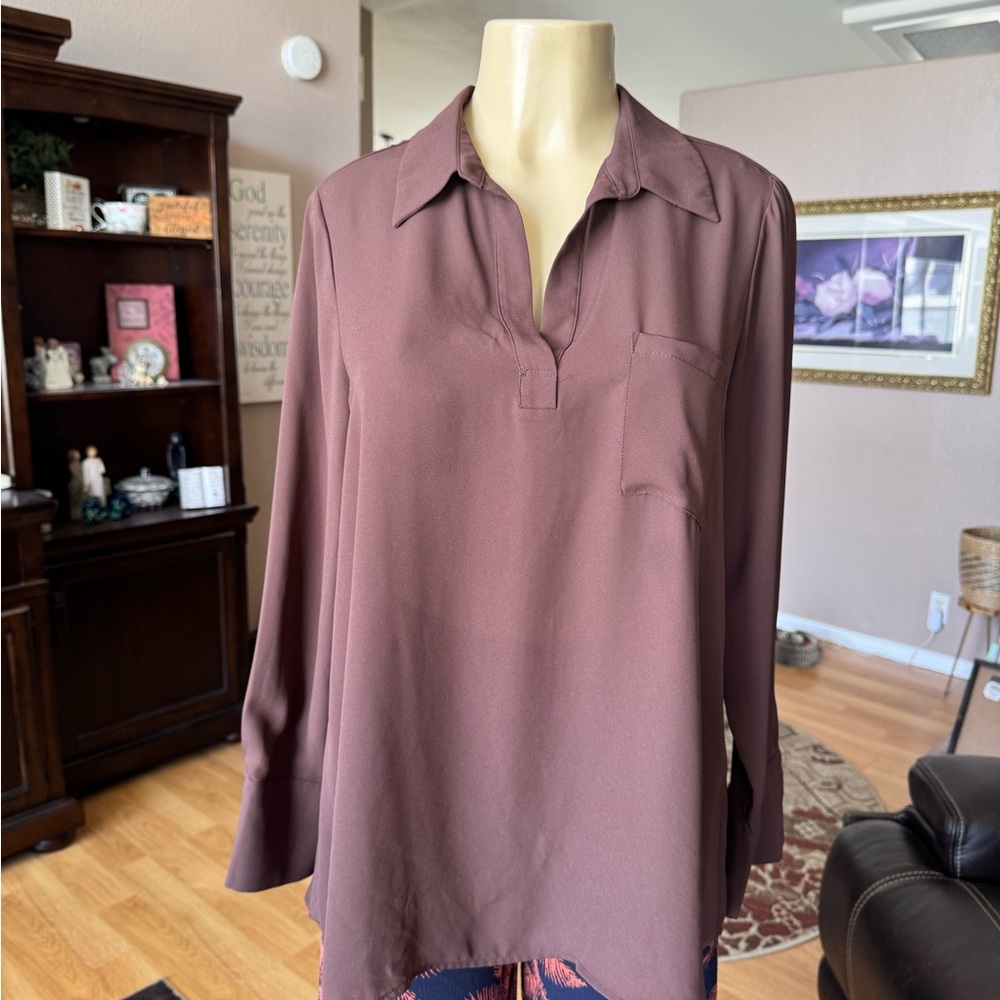 Pleione brown long sleeves Vneck blouse-size M